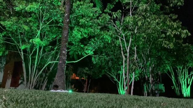 Bons Ventos Camping E Glamping Barra Grande  Exterior foto