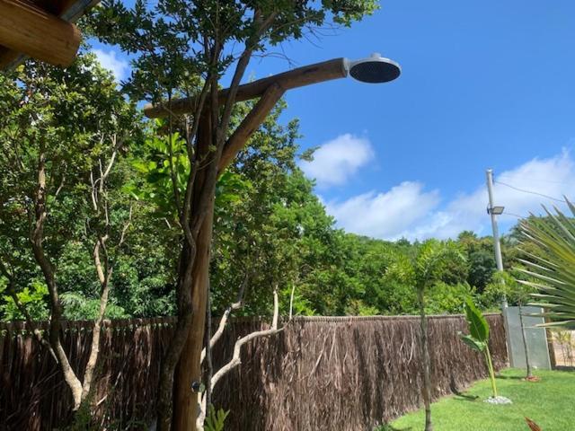 Bons Ventos Camping E Glamping Barra Grande  Exterior foto